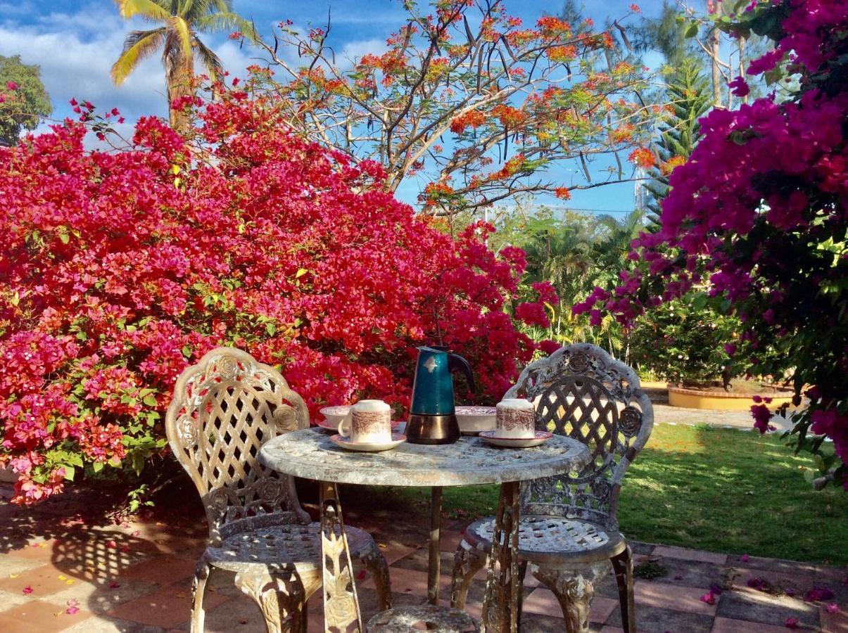 Cafegourmetptacorona San Carlos Exteriér fotografie