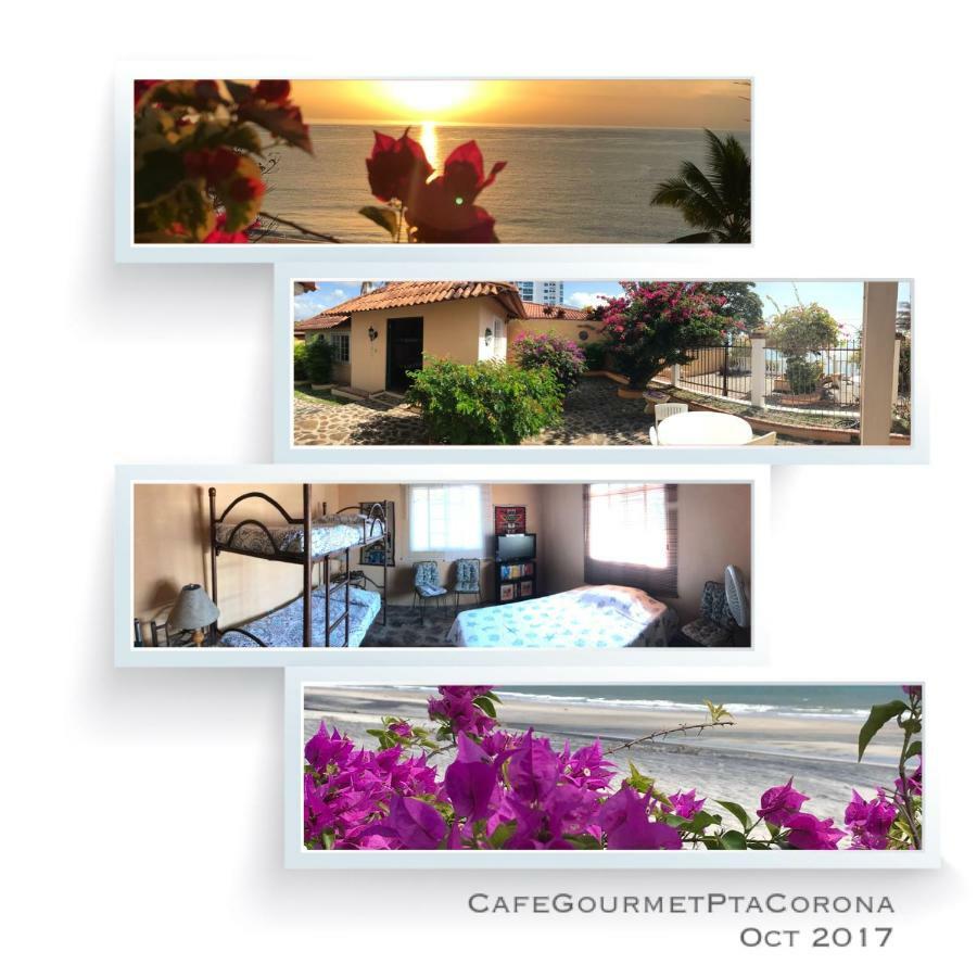 Cafegourmetptacorona San Carlos Exteriér fotografie
